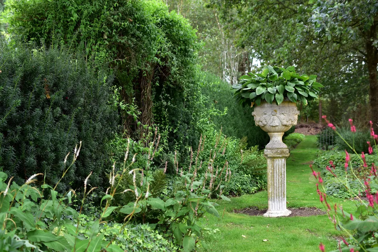 Entretien de jardin : tonte, taille et débroussaillage